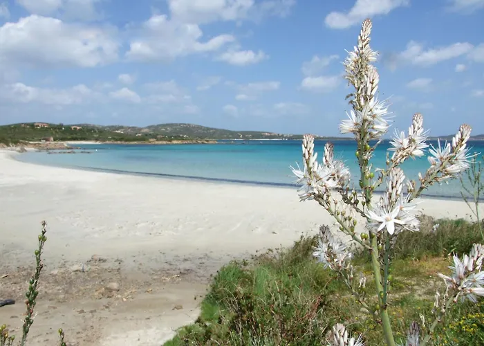 アパート Nanni By Interhome *